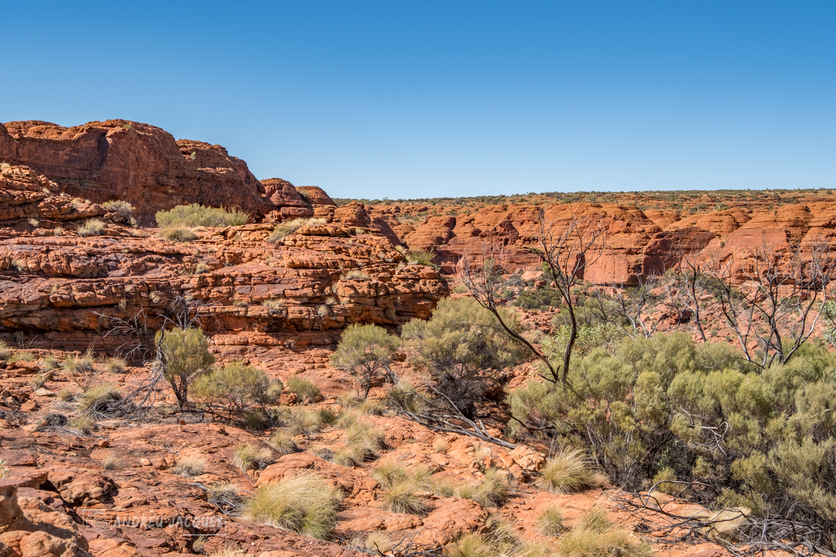 australie 2018-63.jpg